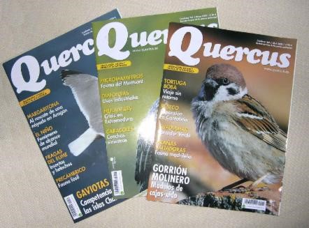 Revista Quercus